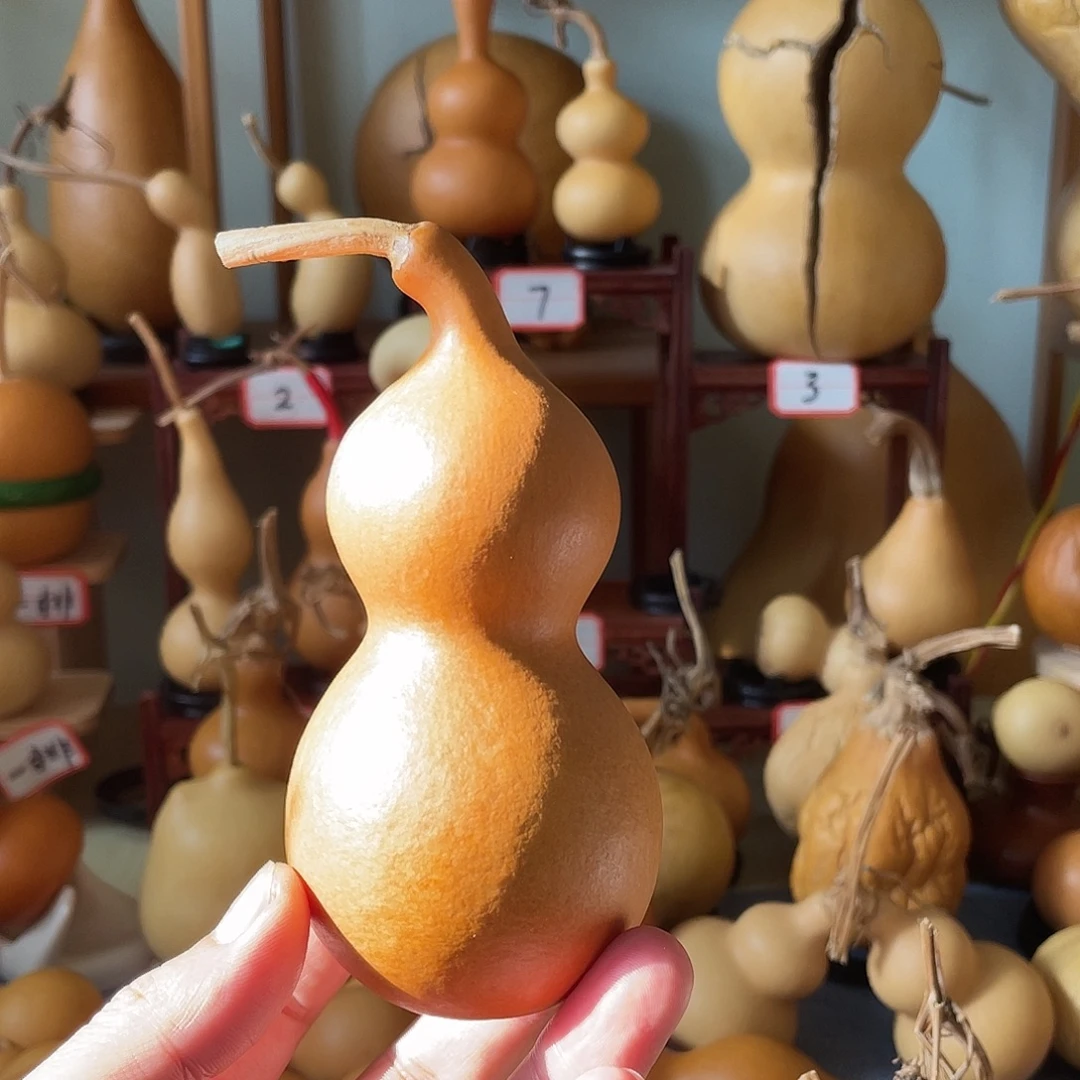 诺***文玩葫芦天津嘴串葫芦