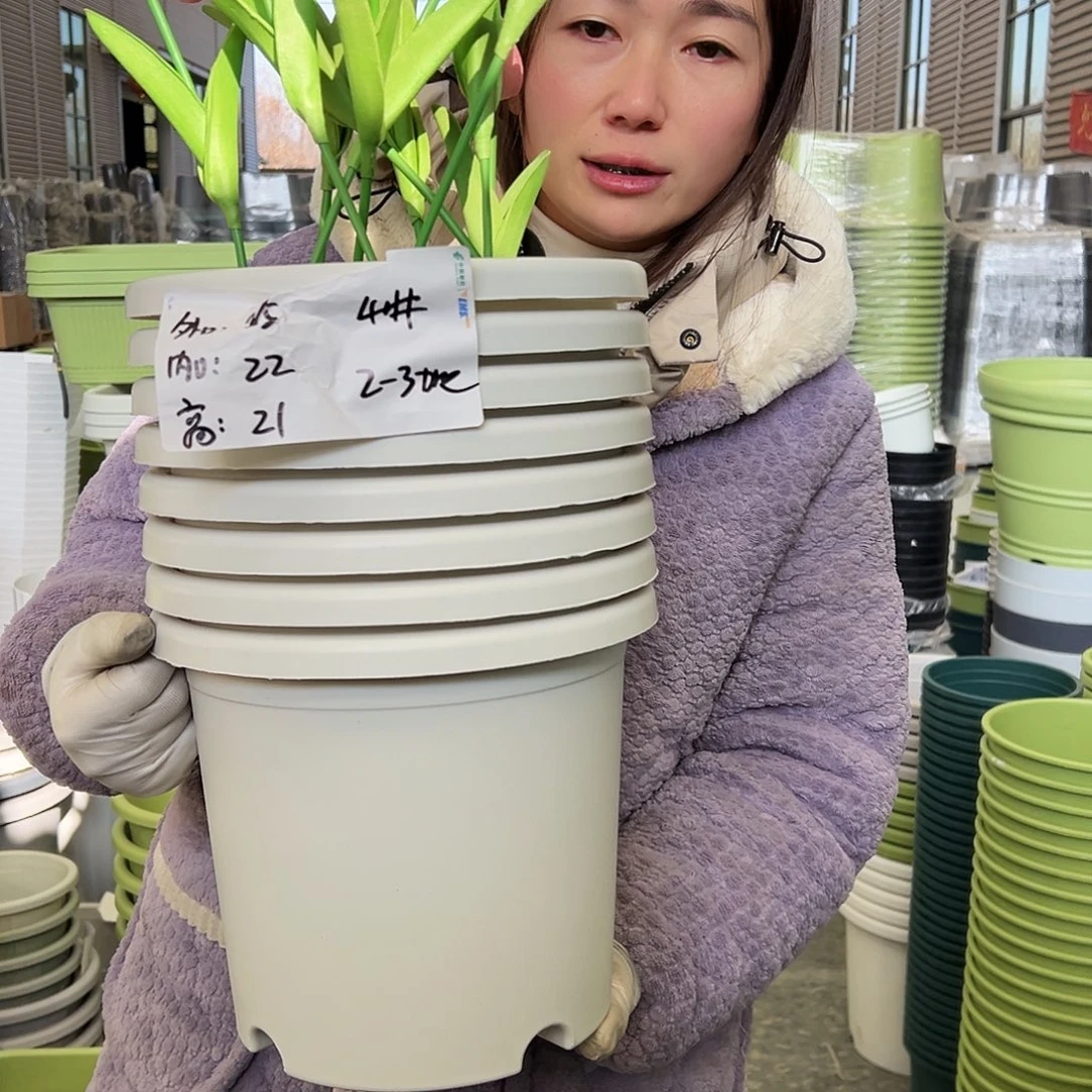 四季盆4#白色8个无托