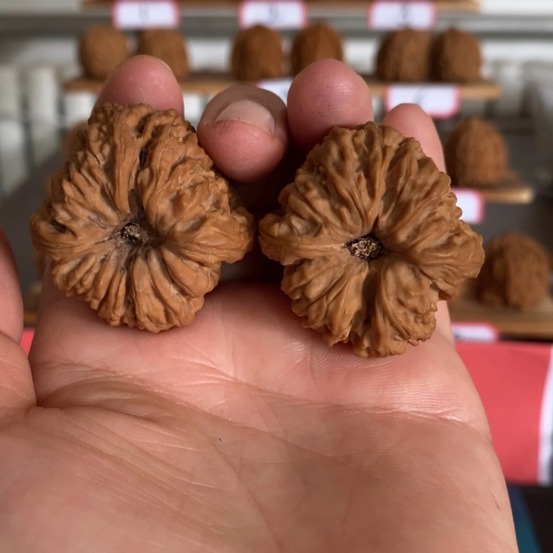 南将石文玩核桃凹底溜肩炮弹37