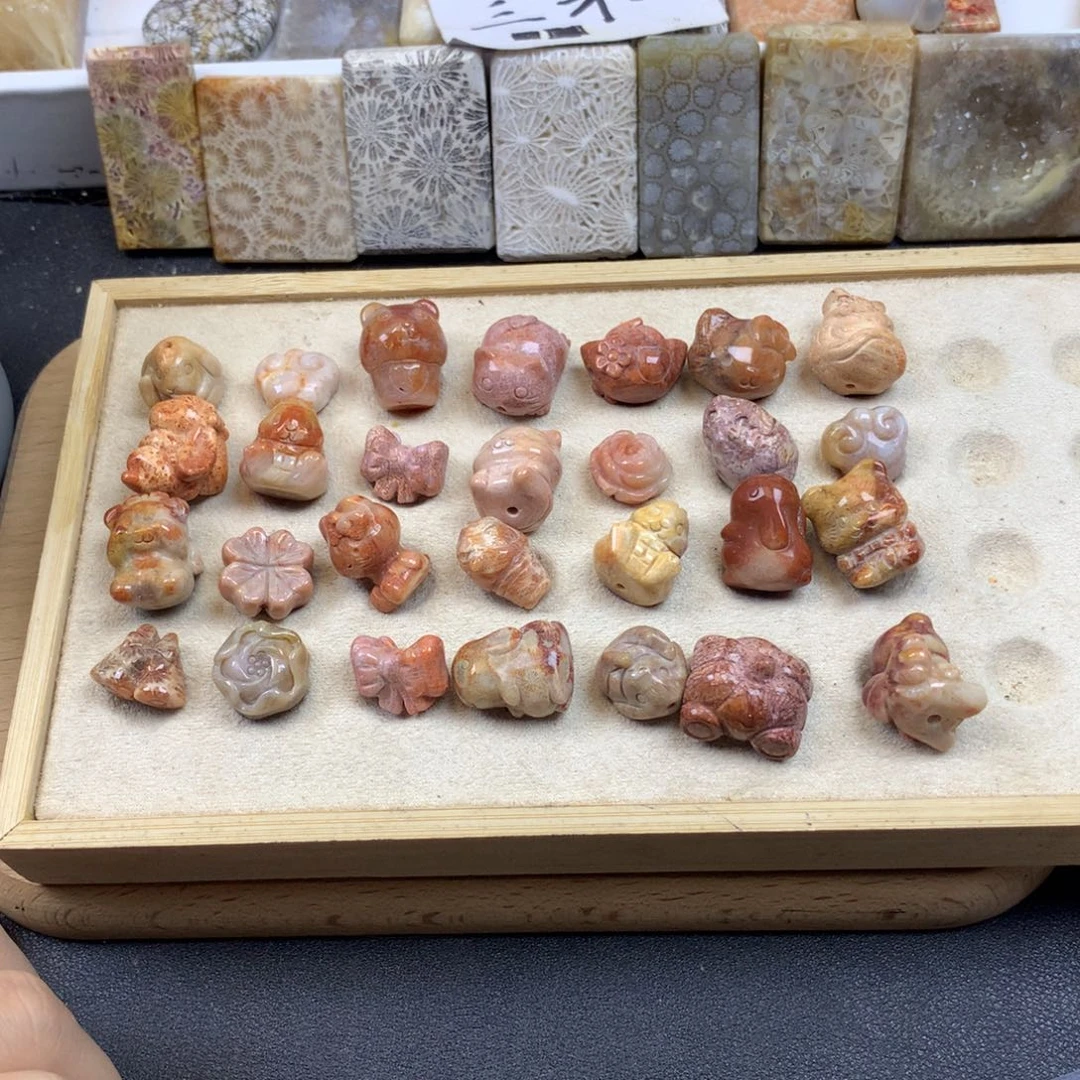 嘟***)硅化珊瑚（珊瑚玉）未镶嵌颈饰
