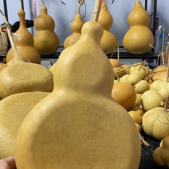 葫芦的颜色是蓝色的