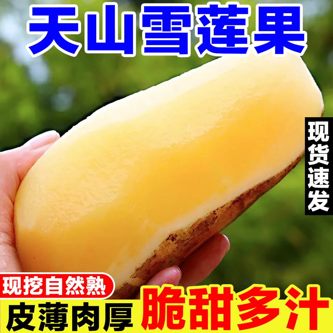 正宗云南天山雪莲果新鲜水果当季低糖黄心脆甜一整箱