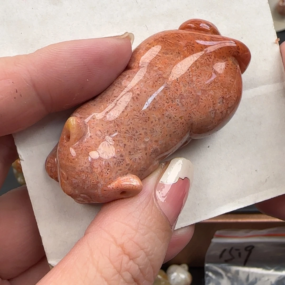 硅化珊瑚（珊瑚玉）未镶嵌颈饰