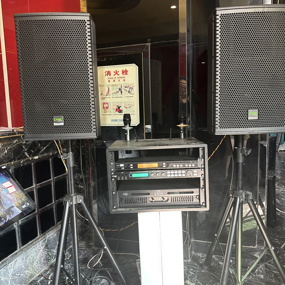 9新  德国DMK德玛克12寸高端音响六件套（音响，功放，效果器，话筒）