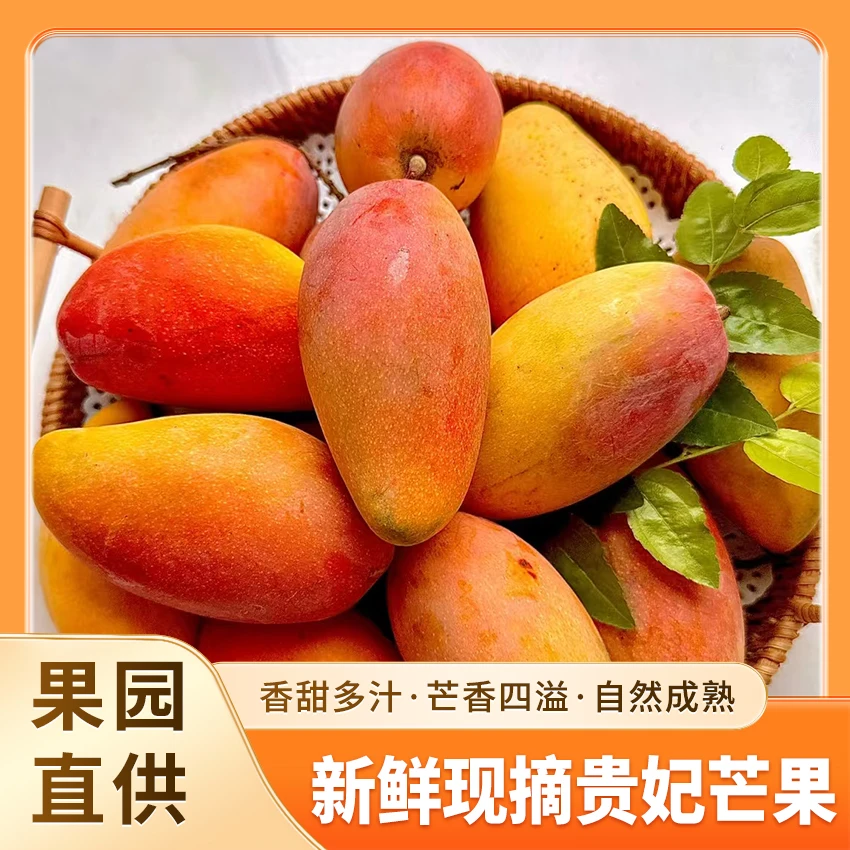 S海南贵妃芒果香甜当季新鲜【放熟再吃】红金龙新鲜芒果现货包邮