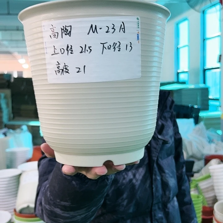 正品高陶口21高21米色无托6只