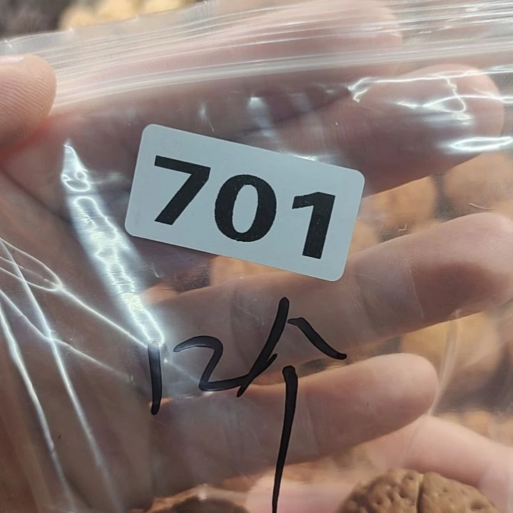 文玩核桃吊坠力****)文玩核桃