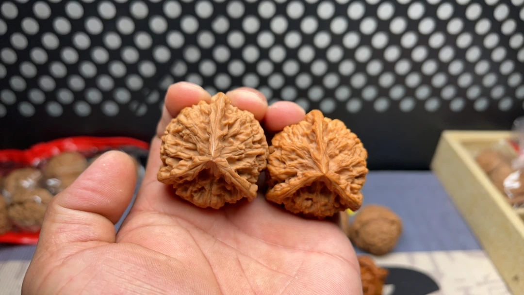 文玩核桃45麒麟纹官帽正奔三棱