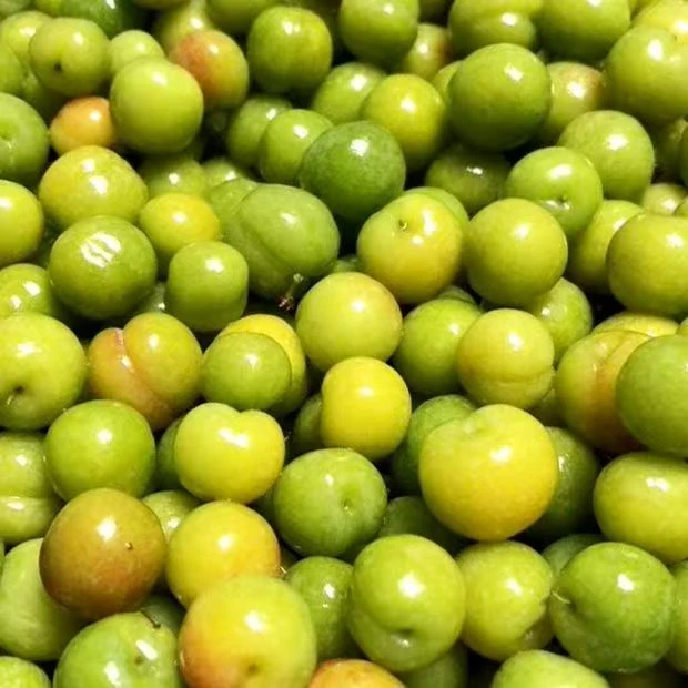 现货三月李子新鲜水果早熟三华樱桃青红李西梅整箱脆现摘现发批发