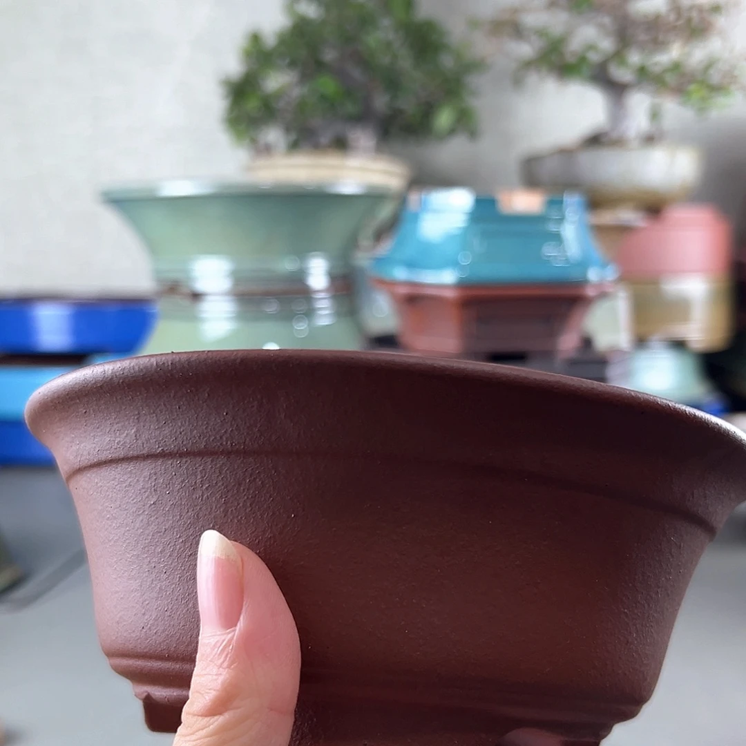 红***根高温紫砂盆子一只