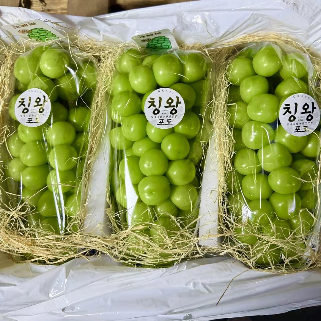 青藤社晴王提子（750g）1串装吉林省