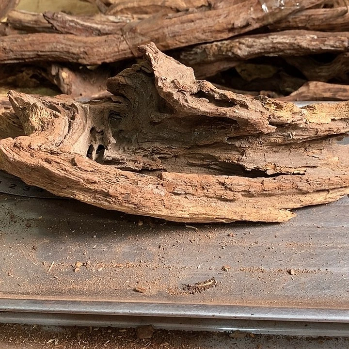 花梨木类北**线海南黄花梨