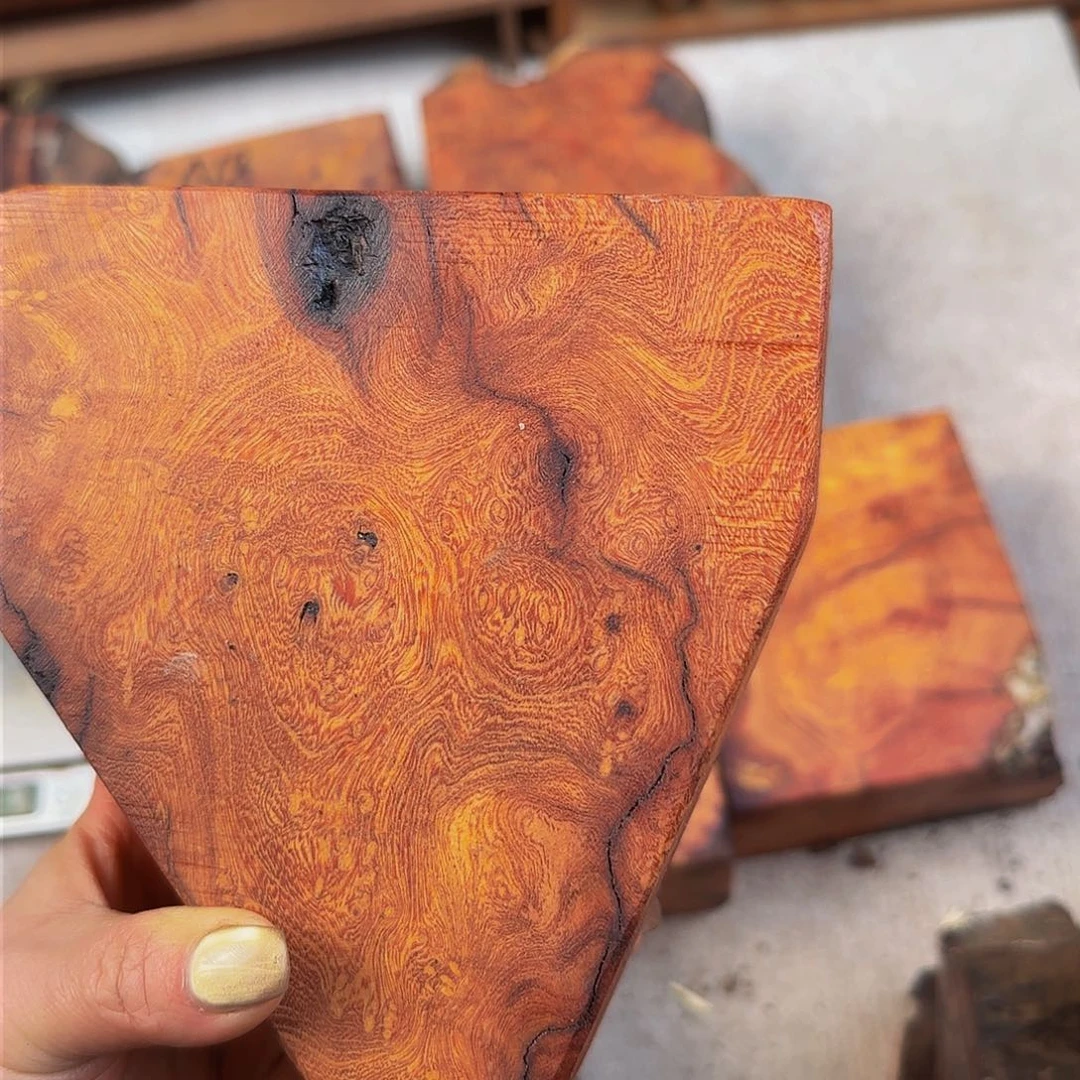 香榧木A****?小叶杨羊蹄甲瘤疤