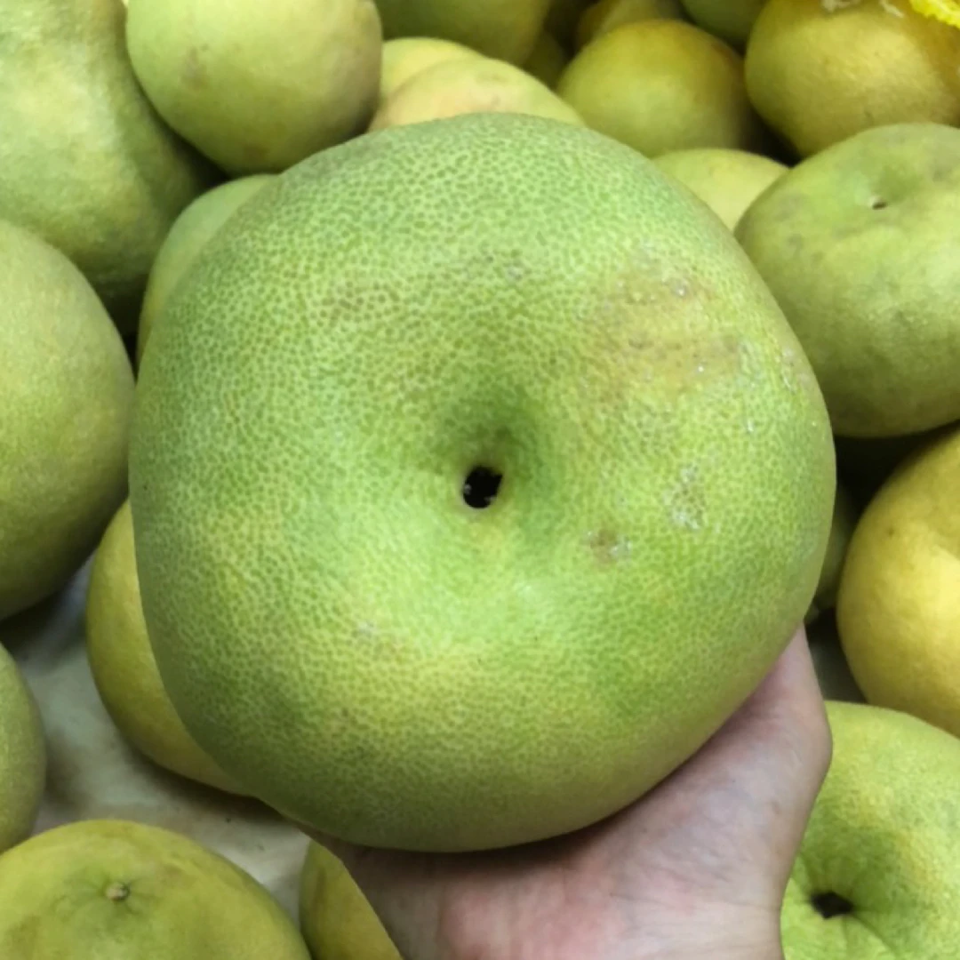 中大孔文旦柚现吃不能存放不包售后介意慎拍