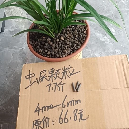 钟***兰兰菌黑山虫屎颗粒7.7斤