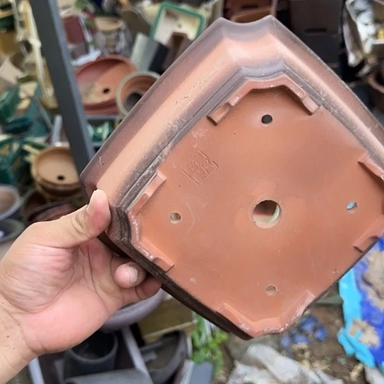 是一个集休闲农业的休闲胜地以及现代