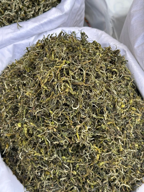 【云南高山生态茶园】大树银丝绿茶 大树春尖绿茶清香耐泡春尖散茶