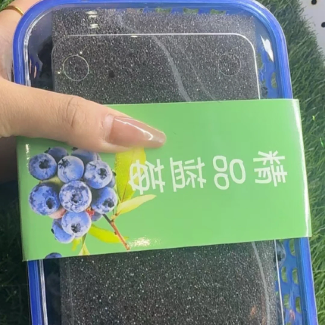 蓝莓一盒  一斤装14mm云南蓝莓天津市哈密市