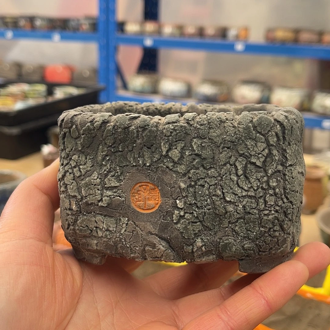 特价内口6-9高6厘米左右