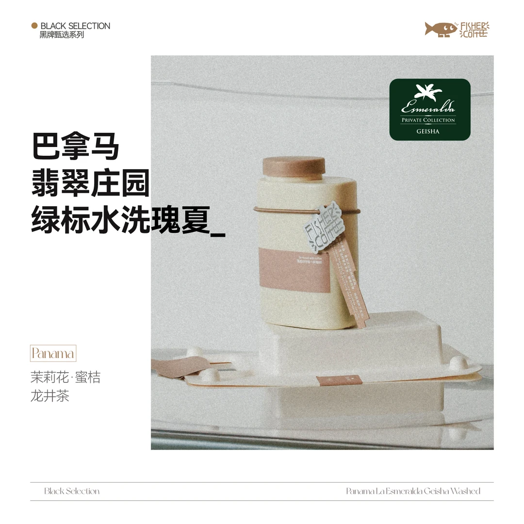 Fisher啡舍 巴拿马翡翠庄园绿标水洗瑰夏 100g手冲咖啡新鲜烘培
