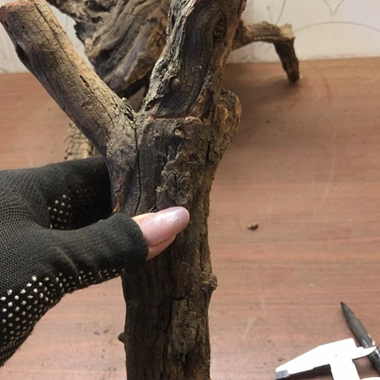 大果紫檀（缅甸花梨）紫****）