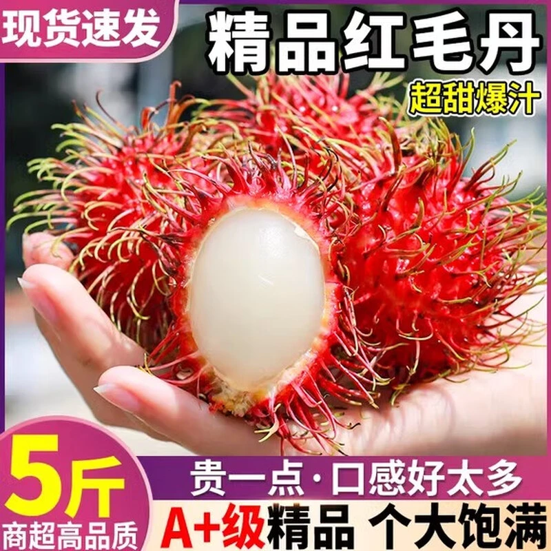 海南红毛丹现摘现发树上熟新鲜热带水果孕妇当季毛荔枝