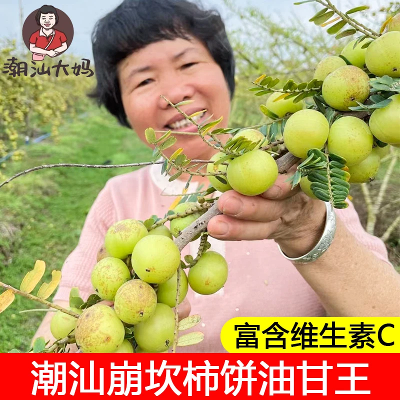 潮汕大妈 赤皮油甘 入口回甘 生吃榨汁煲汤 一斤装