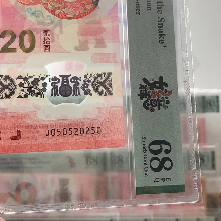 塑料蛇三，025，2025