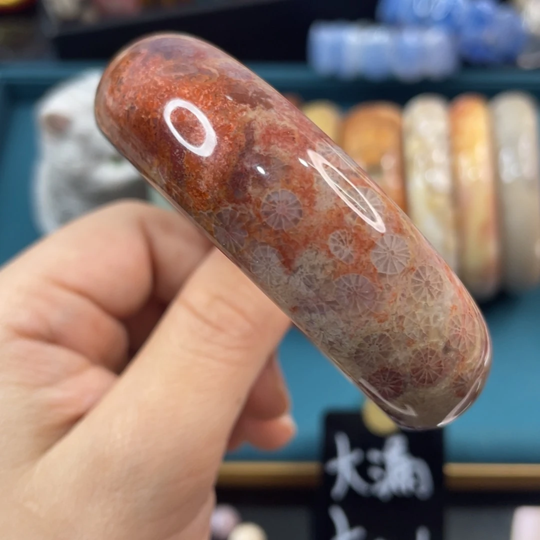 未镶嵌手镯硅化玉