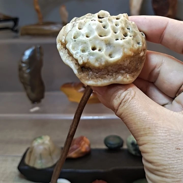 戈壁石天然奇石原石（不包括配饰）