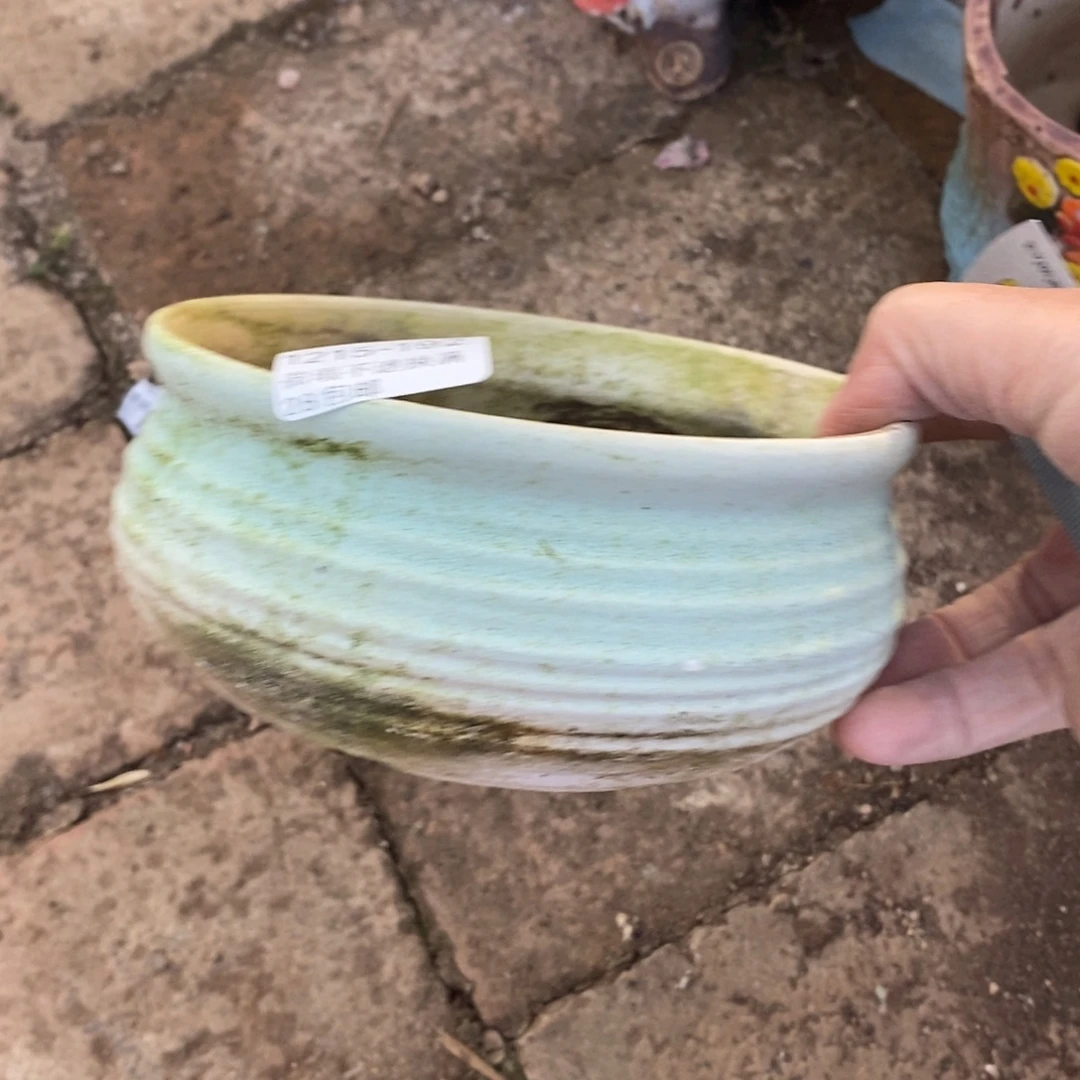 192号多肉盆口径12