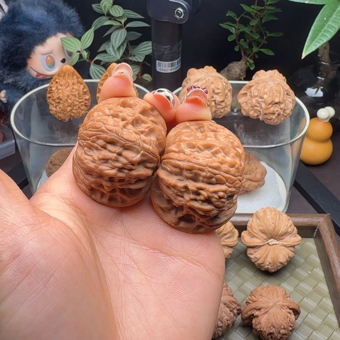 ****夫龙脊菩提把件山地正磨42（微微修）