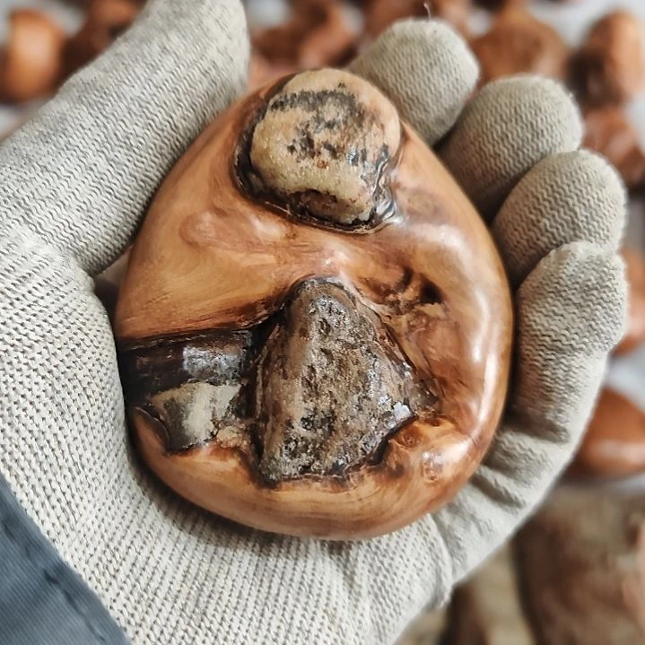 三***六柏木太行崖柏双包石手把件