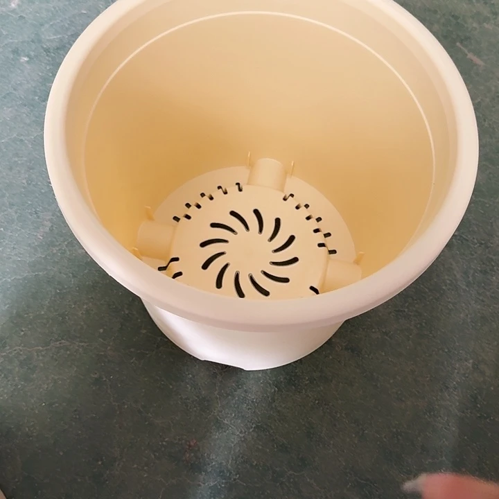 四季5号米黄无拖6个特价微瑕