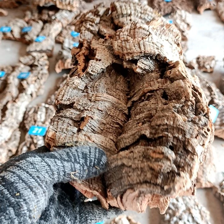 一物一拍一物一发