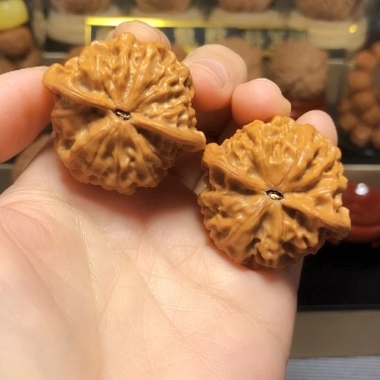 精品野生小众玄月