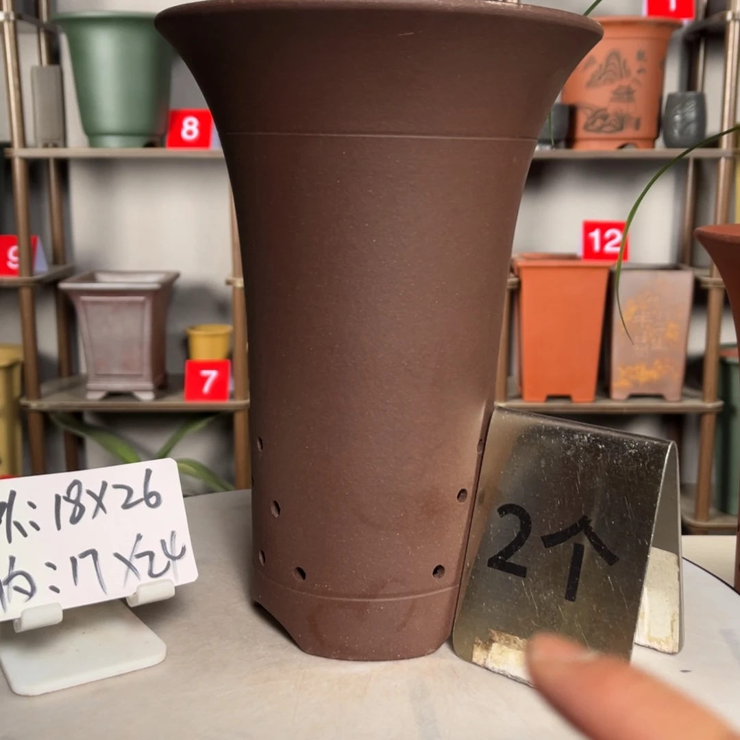 紫砂花盆紫砂花盆中