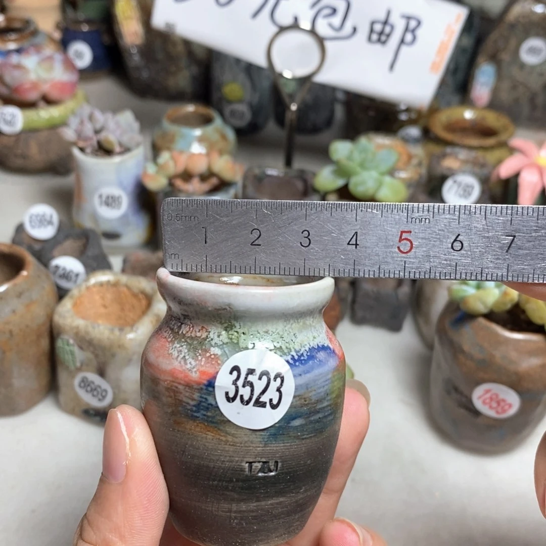 拍5送一个小礼物