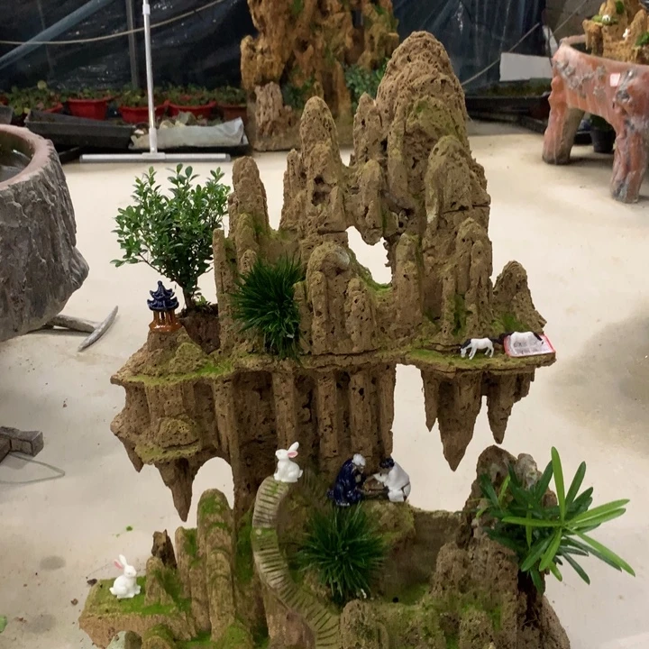 吸水石盆景吸水石盆景