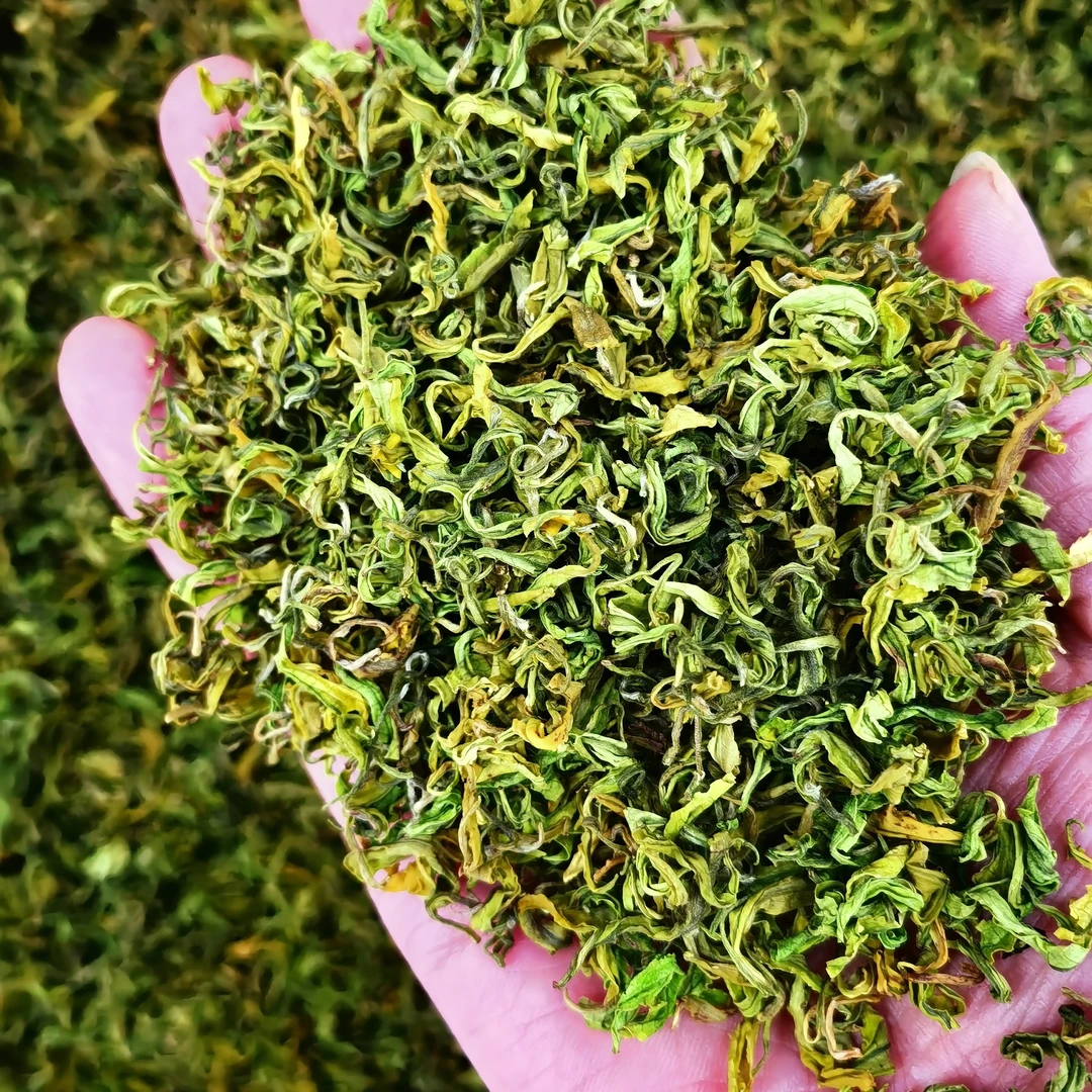 2025年,新茶,明前, 高山手工皇金奶白茶。
