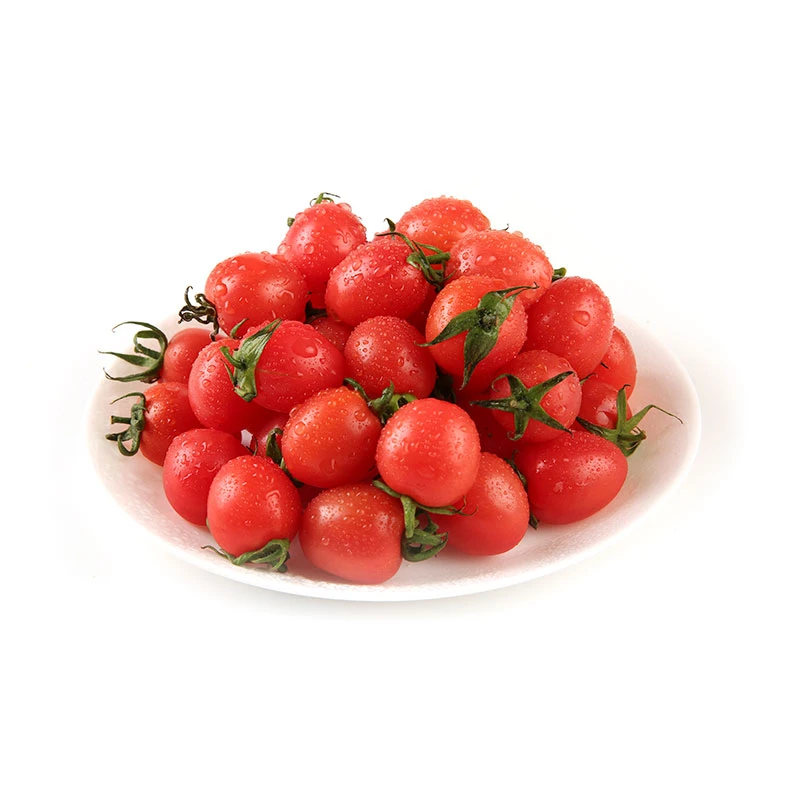千禧番茄小番茄500g/份番茄同城配
