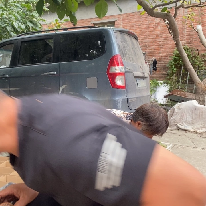 吊坠文玩核桃10个