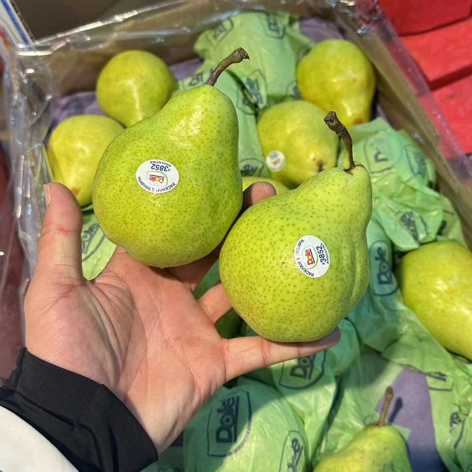 都乐大头梨 (450g)2个装