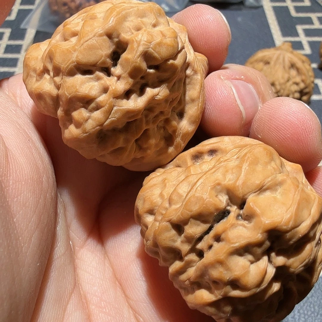 文玩核桃把件金蟾