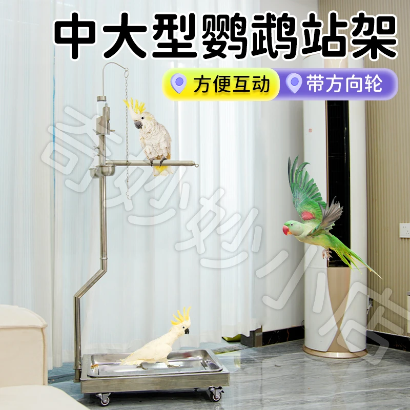 【宠大条】不锈钢中大型用鹦鹉站架和尚灰机金刚带万向轮葵花站台架