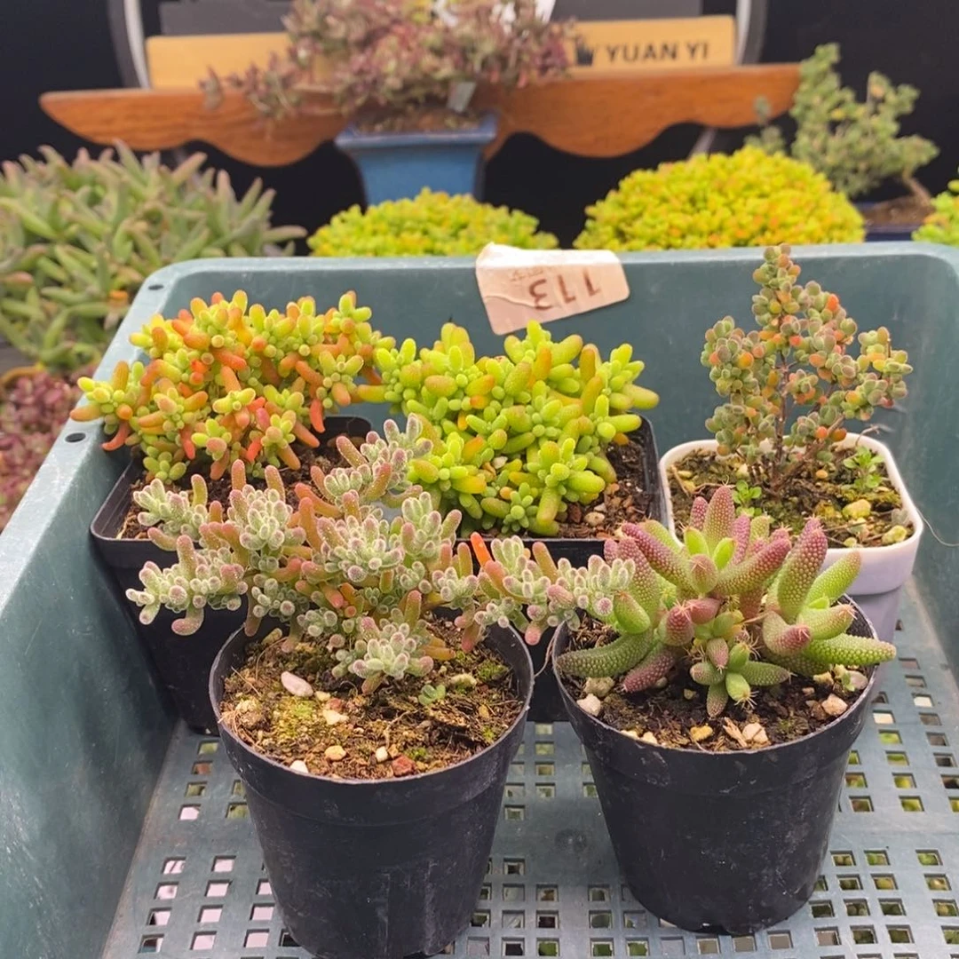 我***翻729五颗福利。