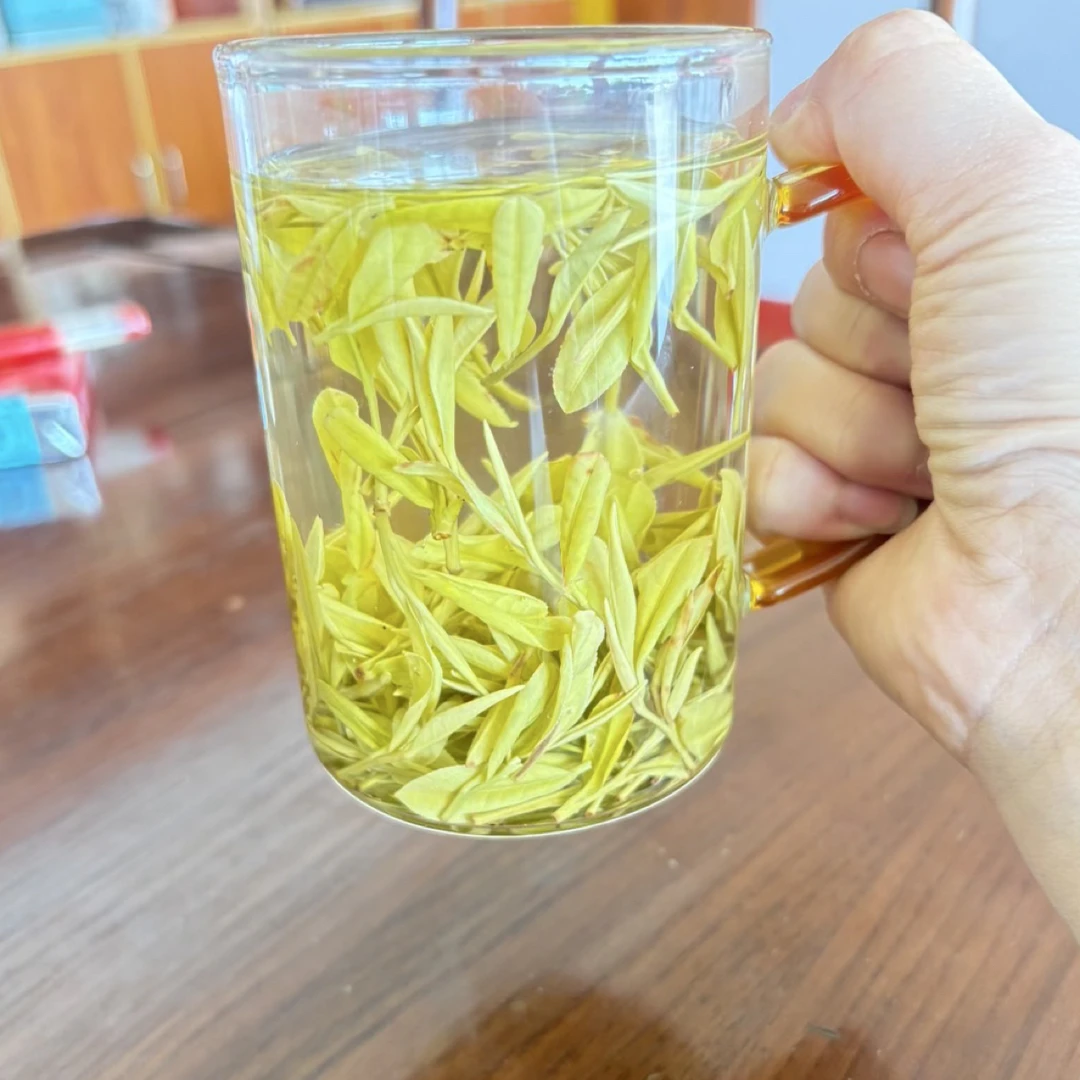 实惠的黄金芽绿茶高性价比栗香耐泡茶叶
