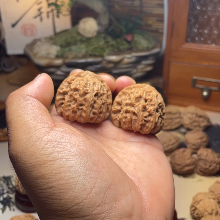 南*41全品三角白未打底