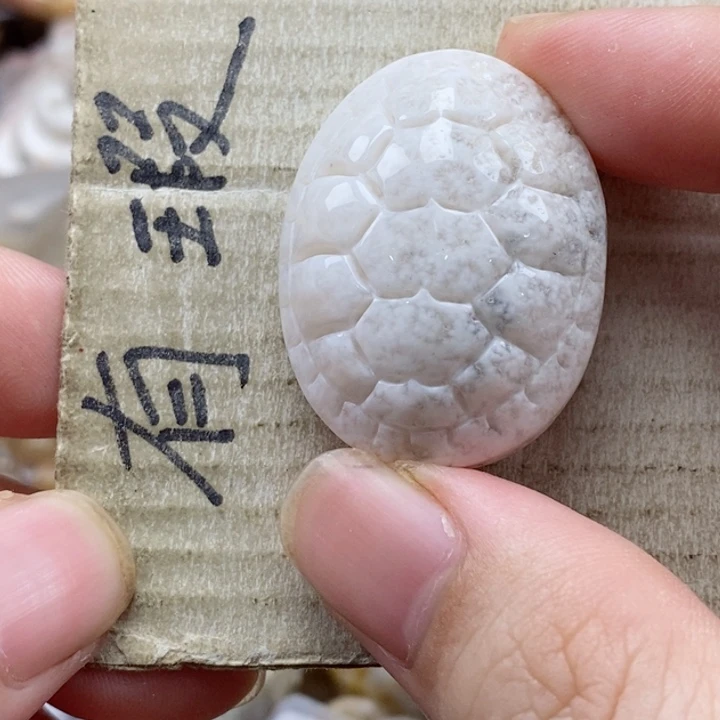 硅化珊瑚（珊瑚玉）未镶嵌颈饰水*