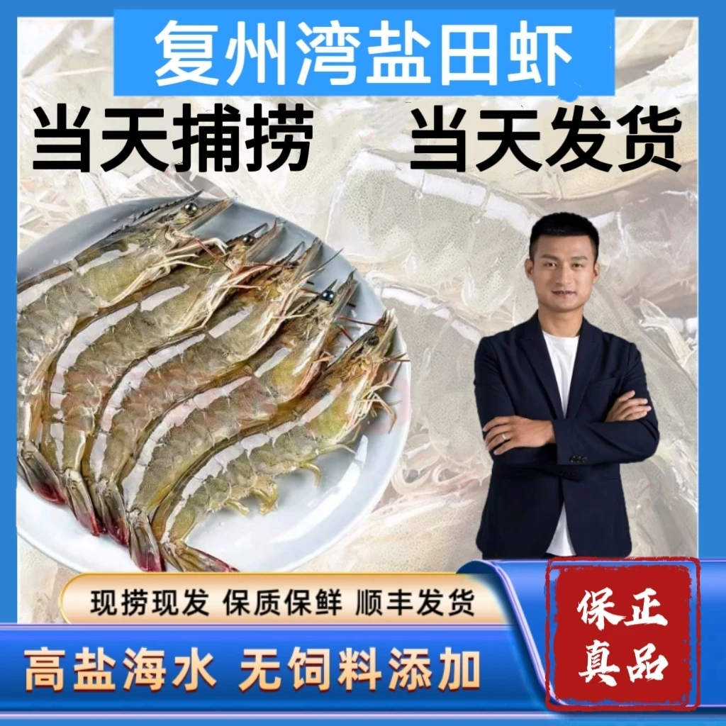 【速冻发货】复州湾盐场虾/30 头左右/斤（大小不均、嫌弃小勿拍）